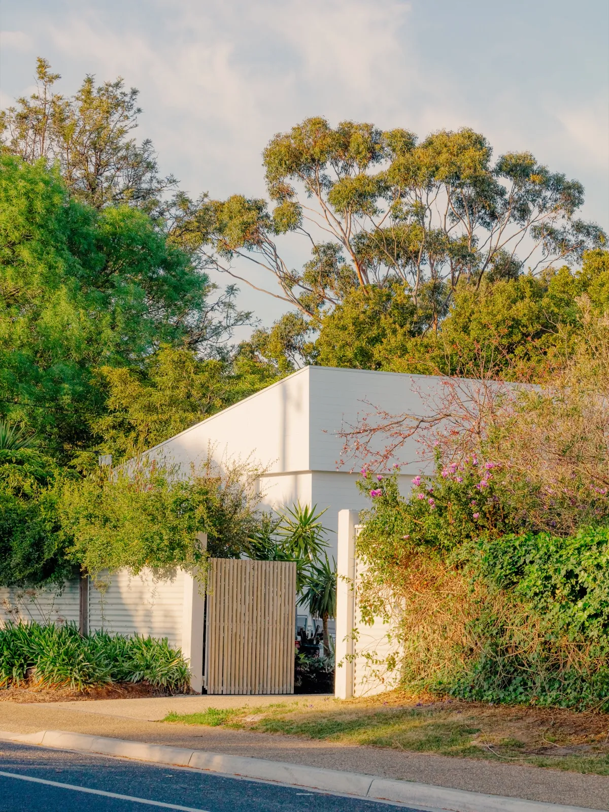 Street view of the white-rendered home behind a timber side gate, framed by gum trees and flowering shrubs.