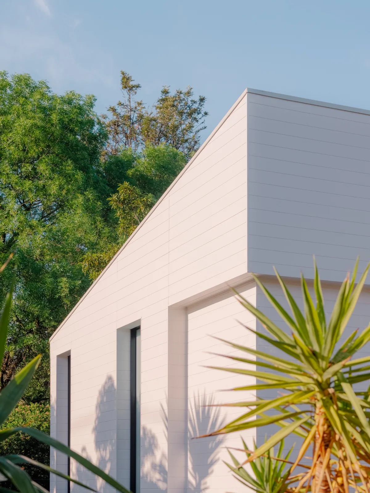 Exterior corner of the home with horizontal white cladding, dark-framed window, and a yucca in the foreground.