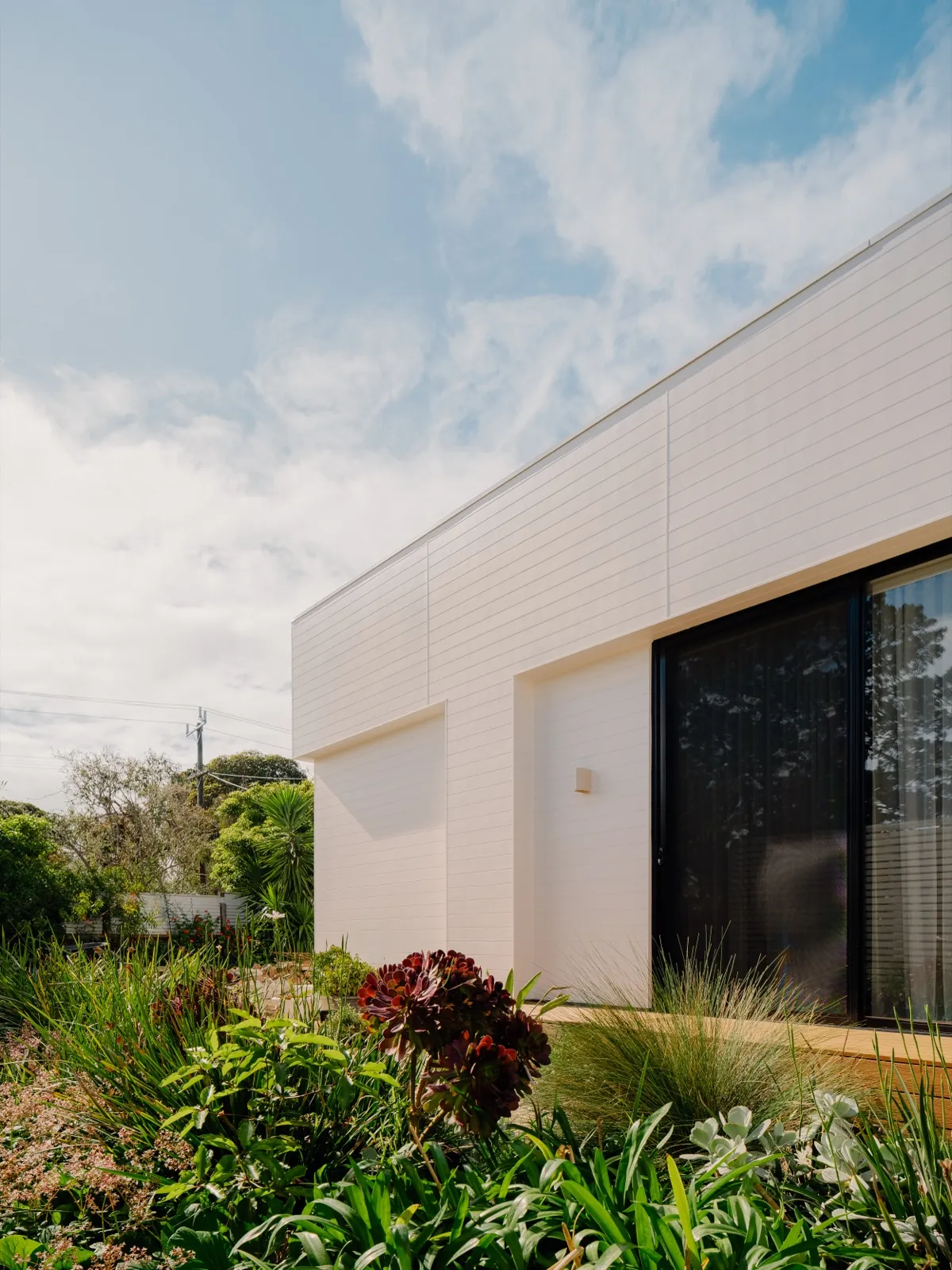 Side elevation of the home with white cladding, dark sliding door, and a landscaped native garden bed.