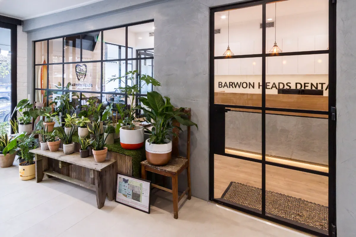 Reception entry with steel-framed glazed walls, indoor plants, and a black-framed timber door.