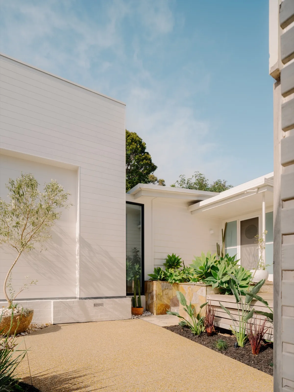 Courtyard entry with white cladding, dark-framed door, a stone planter with succulents, and an aggregate path.