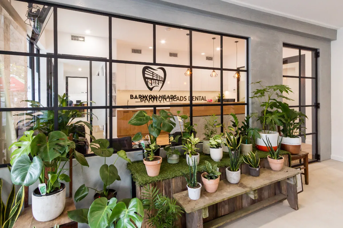 Internal plant display set against the steel-framed glazed reception wall.